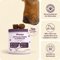 Friandises Naturelles Articulations