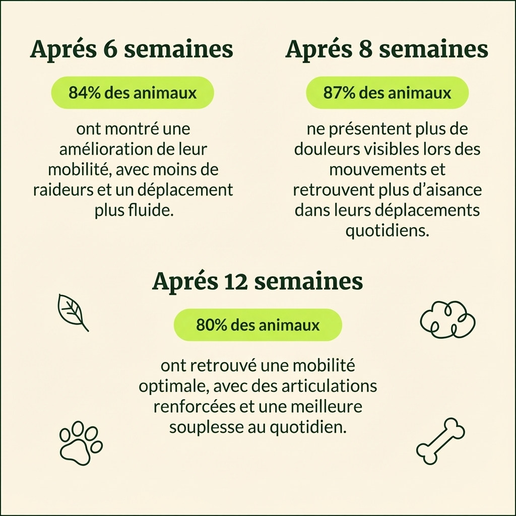 Friandises Naturelles Articulations
