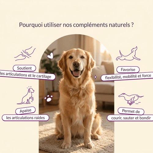 Friandises Naturelles Articulations