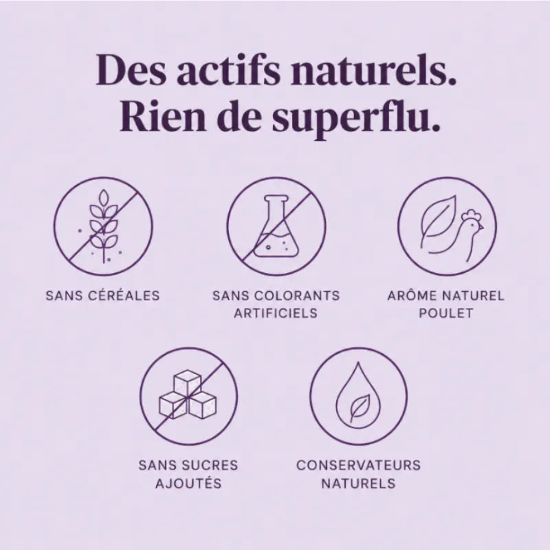 Friandises Naturelles Articulations