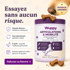 Friandises Naturelles Articulations