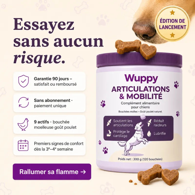Friandises Naturelles Articulations