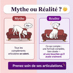 Friandises Naturelles Articulations