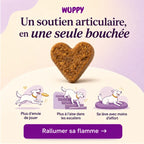 Friandises Naturelles Articulations