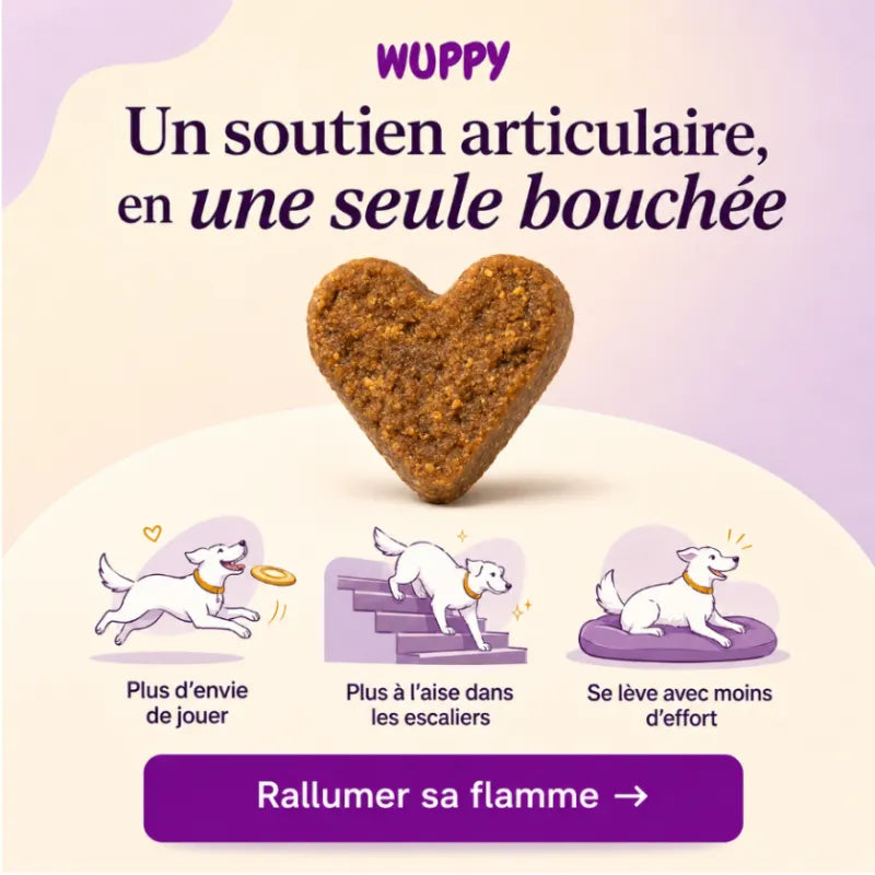 Friandises Naturelles Articulations
