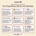 Friandises Naturelles Articulations