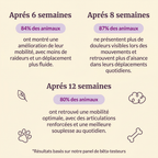 Friandises Naturelles Articulations